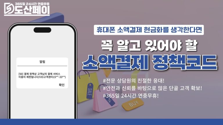 소액결제 정책