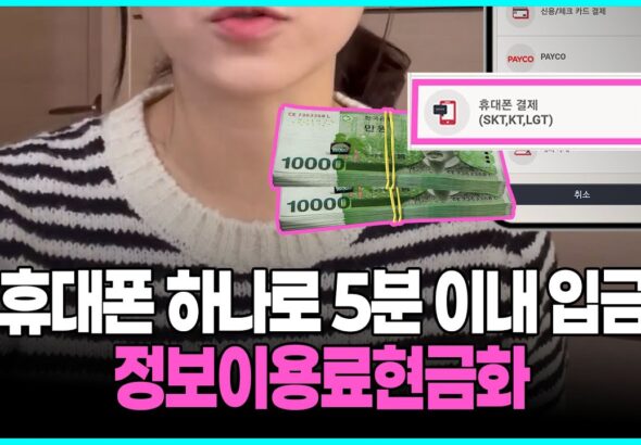 정보이용료결제, 당신이