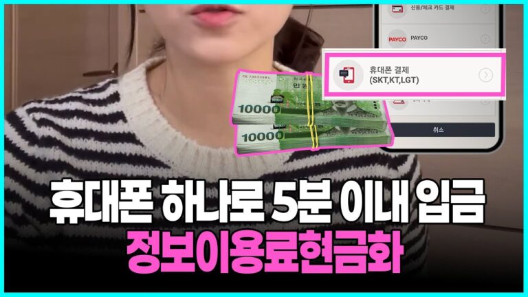 정보이용료결제, 당신이