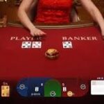 바카라사이트 선택이 만드는 숨겨진 승부의 세계